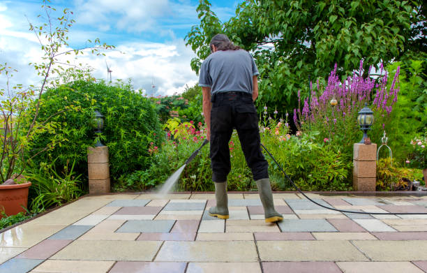 Best Patio and Deck Pressure Washing  in Han, GA